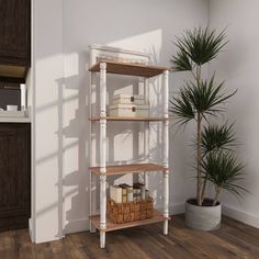 a white shelf with some books on top of it next to a potted plant