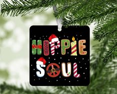 a christmas ornament hanging from a tree with the words hope soul on it