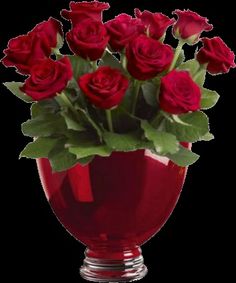 a vase filled with lots of red roses