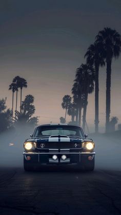 a car driving down the road in front of palm trees at night with fog coming from behind it