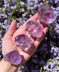 On rare occasion, amethyst and citrine are simultaneously crystalized into a single gemstone called ametrine. This unique jewel, a member of the quartz family, displays both purple and yellow-orange hues and combines the healing powers of both. Ametrine can be found organically in only one place: the Anahi Mine of Bolivia, where it is said to be a treasure of the Bolivian Ayoreos people.  As a stone of both balance and connection, ametrine is believed to relieve tension, bring serenity and stimu Lavender Amethyst Gemstone Crystals, Sage Core, Cottage Coquette, Amethyst And Citrine, Magic Stones, Orange Hues, Jaune Orange, Gadgets And Gizmos, Fun Crochet Projects