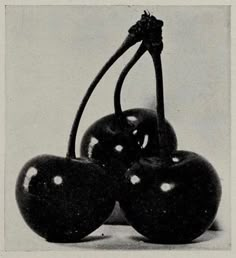 black and white photograph of three cherries on top of each other