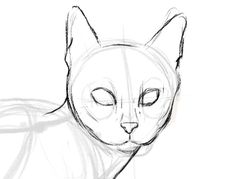 a drawing of a cat with its eyes closed