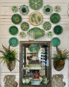 a display case filled with lots of green plates and plants in front of a wall