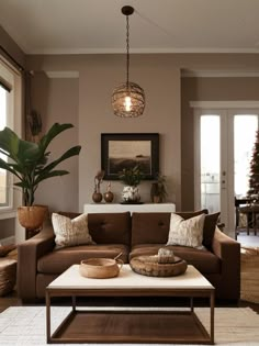 a living room filled with furniture and a large potted plant on top of a coffee table