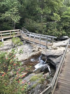 a wooden bridge over a small stream in the woods