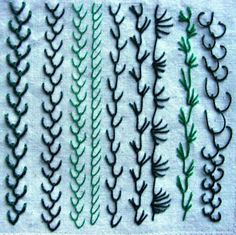 four different types of seaweed are shown on a white cloth with green trimmings