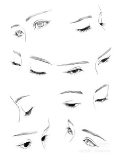 an image of different eyes and lashes