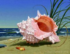 an image of a seashell on the beach