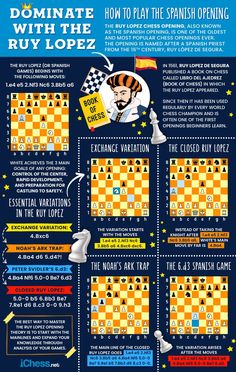 the ultimate chess game info sheet with instructions on how to play it and how to use it