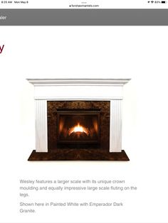 the fireplace is clean and ready to be used for sale on ebayr's website