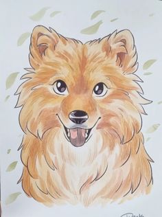 a drawing of a dog's face is shown