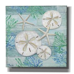 three starfishs and seaweed on a blue wood paneled background with green algae