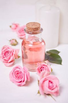 Image source: istockphoto.com Hair Perfume Diy, Make Rose Water, Rose Water Diy, Rose Hydrosol, How To Make Rose, Amazing Food Decoration, Hair Care Regimen, Animals Photos, Diy Roses