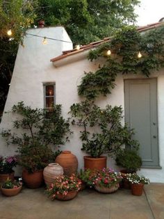 several potted plants on the outside of a house