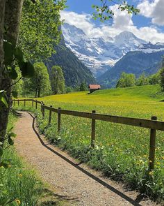 a wooden fence in front of a lush green field with mountains and trees behind it