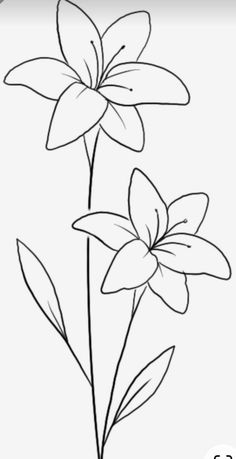 two flowers are shown in this black and white photo, with one flower on the left side