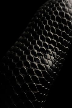 a black and white photo of a snake skin