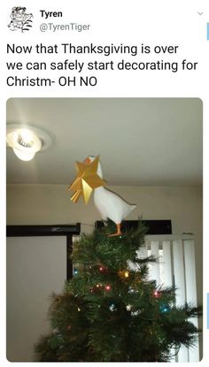 a christmas tree with a gold bow on top and an ornament hanging from it