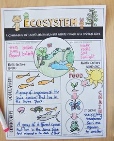 an image of a poster on the side of a wall that says ecositema