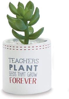 a small potted plant with the words teachers plant seeds that grow forever on it