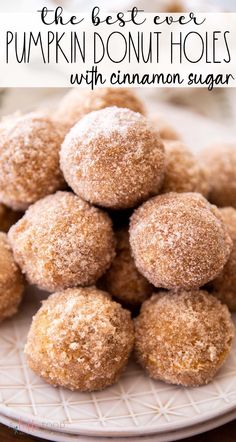 the best ever pumpkin donut holes with cinnamon sugar on a white plate and title overlay