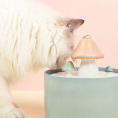 a white cat drinking water out of a blue cup with a lamp on it's side