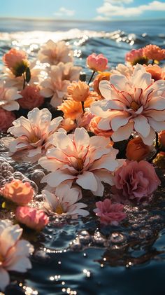 pink and white flowers floating on top of the water with blue sky in the background