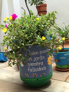 there is a potted plant with flowers on the ground next to other pots and plants