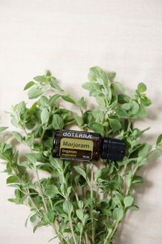 Doterra Marjoram, Doterra Myrrh, Deep Blue Doterra, Myrrh Essential Oil, Vetiver Essential Oil, Herbal Elixir, Glutathione Whitening