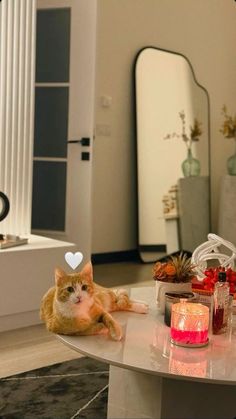 an orange and white cat laying on top of a table next to a candle holder