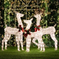 lighted reindeers are standing in front of a wall with flowers and greenery on it