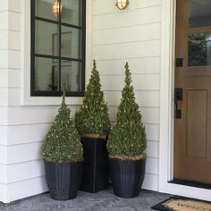 two potted plants are sitting on the front porch