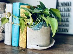 some books are sitting on a table next to a potted plant