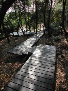 a wooden walkway in the middle of a wooded area with trees and water behind it