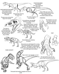 an illustrated guide to dinosaurs and other animals, with instructions for how to draw them