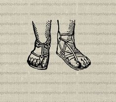 a drawing of a pair of shoes with laces on the bottom and soles