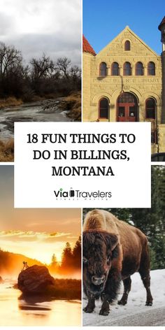 the top things to do in billowings, montana with text overlaying it