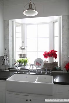 a white kitchen sink sitting under a window next to a potted plant on top of a counter