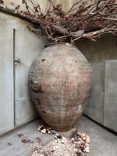 a large vase sitting on top of a wooden floor next to a planter filled with dry leaves