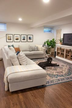 a dog laying on the floor in a living room