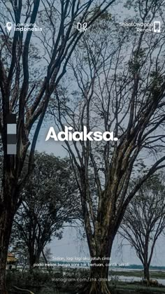 an image of trees with the word adiksa on it