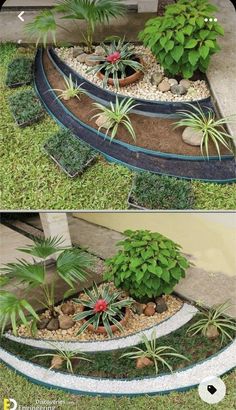 some plants that are in the middle of two different sections of a planter with rocks and grass