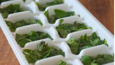 the tray is filled with green leafy vegetables and ice cubes on it's sides