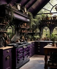 a kitchen with purple cabinets and lots of potted plants on the shelves in it