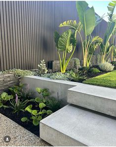 a concrete bench sitting next to a lush green plant filled garden on the side of a building