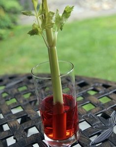 a flower in a glass on top of a metal table with green grass behind it