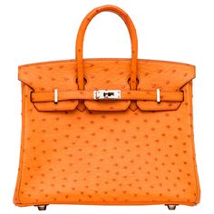 The Hermés Birkin bag embodies the quintessence of style and luxury due to its impeccable design, craftsmanship, and significance. That being said, it is the most iconic and desired piece from the Hermés handbag collection. Hermes Closet, Orange Birkin, Most Expensive Bag, Ostrich Birkin, Orange Bags, Ostrich Bag, Orange Purse, Orange Handbag, Expensive Bag