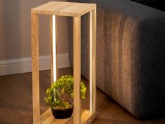 a small potted plant in a wooden box on the floor next to a couch