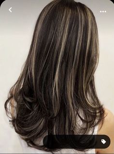 Skunk Hair, Brown Hair Inspo, Hair Color Streaks, Brunette Hair With Highlights, Black Hair With Highlights, Dark Hair With Highlights, Hair Streaks, Brown Hair With Blonde Highlights, Hairstyles For Layered Hair